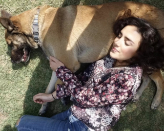 Illustration de l'article : Après 6 mois d’absence, une jeune femme réserve la plus belle des surprises à son chien dans un parc