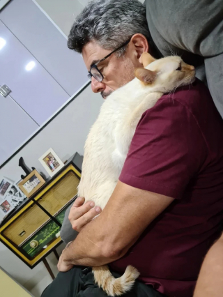 Illustration de l'article : 16 photos de maîtres amoureux de leurs animaux qui refusaient pourtant d’en avoir