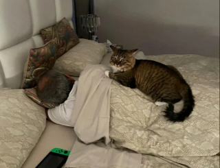 Illustration de l'article : 16 photos de maîtres amoureux de leurs animaux qui refusaient pourtant d’en avoir