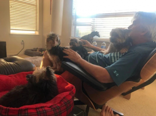 Illustration de l'article : 16 photos de maîtres amoureux de leurs animaux qui refusaient pourtant d’en avoir