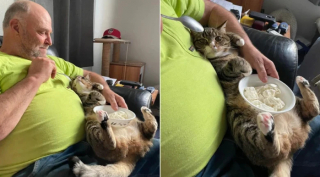 Illustration de l'article : 16 photos de maîtres amoureux de leurs animaux qui refusaient pourtant d’en avoir