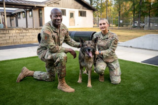 Illustration de l'article : Après de nombreuses années de collaboration dans l’armée, ce duo humain-canin se retrouve avec beaucoup d’émotion et d’espoir