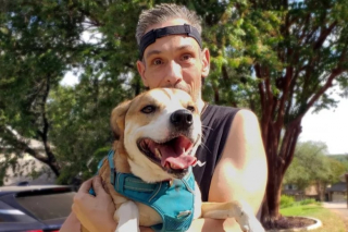 Illustration de l'article : Un homme patient gagne la confiance d'une chienne handicapée après 2 mois d'efforts quotidiens afin de pouvoir l'adopter