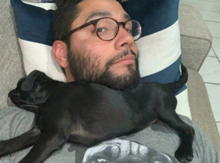 Illustration de l'article : 20 photos de chiens et de chats pour qui la sieste n’attend pas