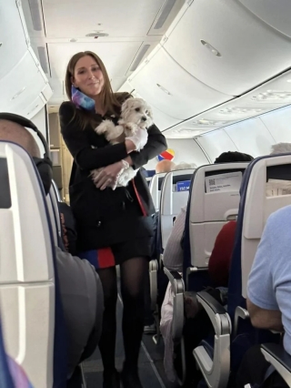 Illustration de l'article : 20 photos d’adorables chiens rencontrés au hasard