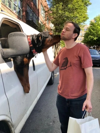 Illustration de l'article : 20 photos d’adorables chiens rencontrés au hasard