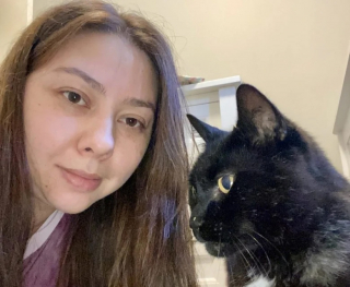 Illustration de l'article : 6 ans après la disparition de son chat, une femme reçoit un appel aussi inespéré que bouleversant