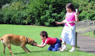 Illustration de l'article : La relation tumultueuse entre une chienne et sa maîtresse se transforme en belle histoire d’amitié
