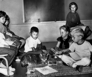 Illustration de l'article : Devenu célèbre grâce à son adoption par une école primaire, ce chat a marqué de manière émouvante plusieurs générations d’écoliers