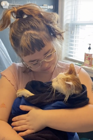 Illustration de l'article : Alors que tout espoir semblait perdu, une chatte de refuge vit un coup de foudre inattendu à 20 ans, qui change sa vie