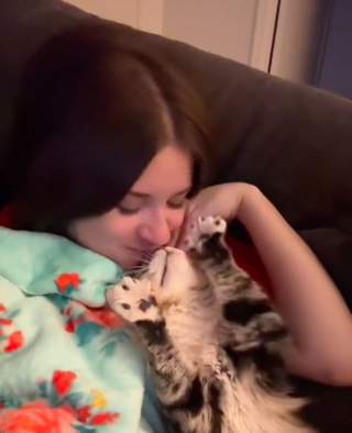 Illustration de l'article : Reconnaissant pour sa nouvelle vie, ce chat longtemps délaissé dans son refuge montre chaque jour à ses nouveaux maîtres à quel point il les aime (vidéo)