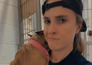 Illustration de l'article : Un chien traumatisé par son abandon s’accroche désespérément au bras d’une bénévole (vidéo)