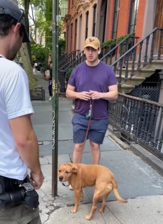 Illustration de l'article : Au détour d’un cliché, un photographe découvre l’histoire poignante de Lunchbox, un chien résilient au passé difficile (vidéo)