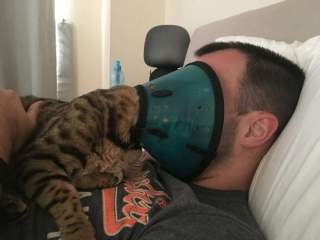 Illustration de l'article : 20 photos de chats pas comme les autres, retrouvés dans des positions invraisemblables