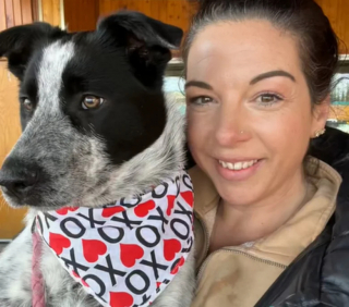 Illustration de l'article : L'au revoir doux-amer entre une famille d’accueil et le chien dont elle a pris soin (vidéo)
