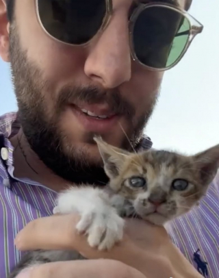 Illustration de l'article : Cet homme a eu le cœur brisé en entendant ces miaulements, il lâche tout pour venir en aide au chaton (vidéo)
