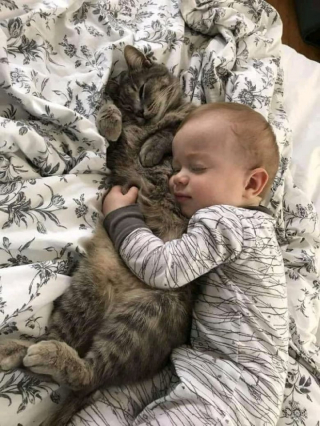 Illustration de l'article : 20 photos prouvant que nos animaux de compagnie sont une indéniable source de bonheur