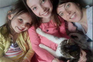 Illustration de l'article : En emmenant un chat errant chez le vétérinaire, une jeune femme découvre que sa famille le cherche depuis 5 ans à 20 km de là