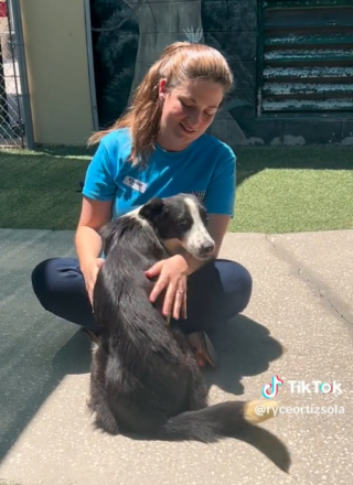 Illustration de l'article : Cet homme devait simplement aider son amie à choisir un chien, mais repart du refuge avec une nouvelle mission (vidéo)