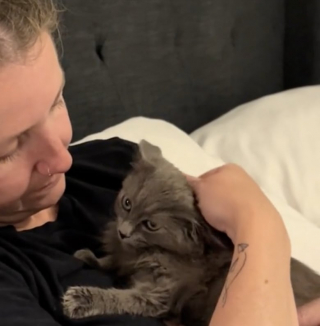 Illustration de l'article : En s'incrustant dans le jardin de cette femme, ce minuscule chaton ne savait pas que sa vie changerait à ce point (vidéo)