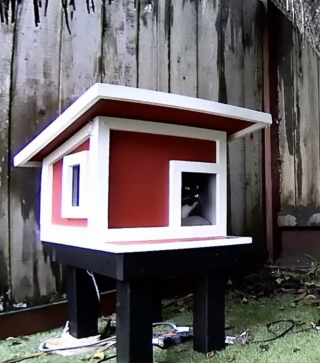 Illustration de l'article : Un homme construit un abri pour un chat errant, mais le succès de sa cabane dépasse ses attentes