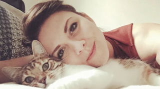 Illustration de l'article : Un vétérinaire réunit une famille avec son chat perdu après 7 longues années