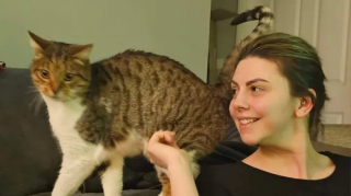 Illustration de l'article : Un vétérinaire réunit une famille avec son chat perdu après 7 longues années