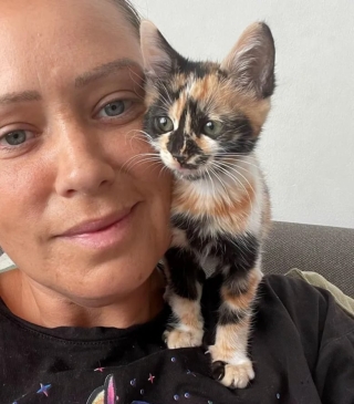 Illustration de l'article : Une femme adopte 4 chatons de portées différentes en même temps, et ces derniers s'entendent à merveille