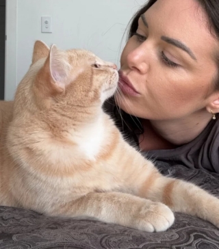 Illustration de l'article : Elle voulait reprendre un chat temporairement après le décès de son précédent chat et ne peut plus s'en séparer