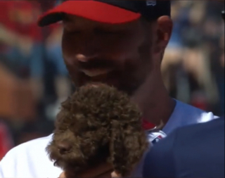 Illustration de l'article : Joueur de baseball, il n'avait pas le temps d'adopter un chien, mais sa famille lui a réservé un beau cadeau de retraite (vidéo)