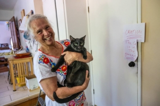 Illustration de l'article : Après sa fuite, un chat domestique s’intègre à une colonie de chats sauvages et refuse de rentrer chez lui