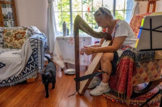 Illustration de l'article : Après sa fuite, un chat domestique s’intègre à une colonie de chats sauvages et refuse de rentrer chez lui