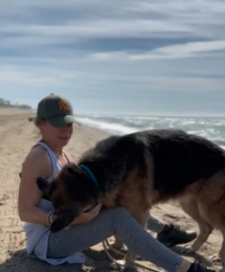 Illustration de l'article : Cette bénévole change radicalement le quotidien d'un chien de refuge en l'emmenant une journée à la plage (vidéo)