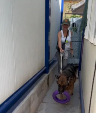 Illustration de l'article : Cette bénévole change radicalement le quotidien d'un chien de refuge en l'emmenant une journée à la plage (vidéo)