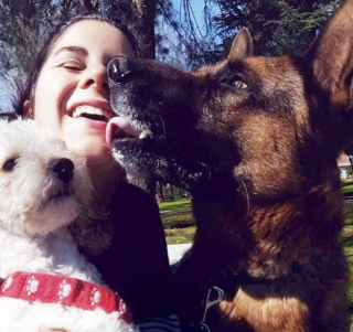 Illustration de l'article : Son chien disparait en creusant un trou, puis elle le retrouve après 10 mois de recherches intensives
