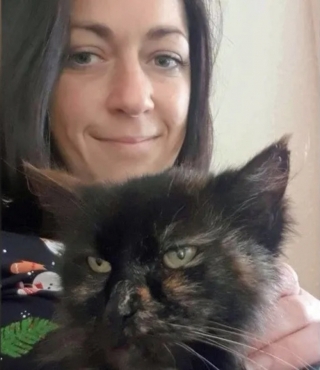 Illustration de l'article : Cette chatte portée disparue depuis 9 ans retrouve son foyer grâce au « miracle de Noël »