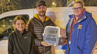 Illustration de l'article : Cette chatte portée disparue depuis 9 ans retrouve son foyer grâce au « miracle de Noël »