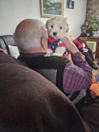 Illustration de l'article : Un homme de 96 ans accueille un chien chez lui et s’offre une seconde jeunesse (vidéo)