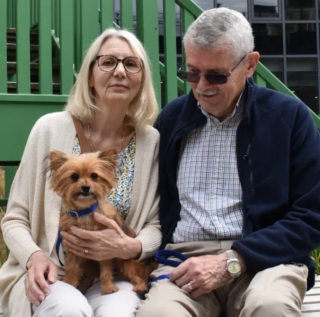 Illustration de l'article : Des passants découvrent une chienne blessée sur le point d’accoucher dans un parc