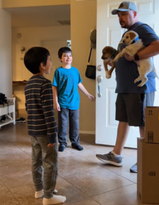 Illustration de l'article : Ces deux enfants découvrent avec émotion qu’ils allaient adopter les chiens accueillis temporairement