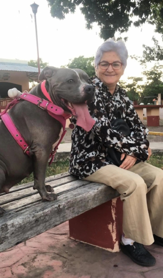 Illustration de l'article : L’histoire de cette chienne qui admire la photo d’un membre de sa famille révèle une amitié touchante 