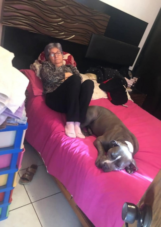 Illustration de l'article : L’histoire de cette chienne qui admire la photo d’un membre de sa famille révèle une amitié touchante 