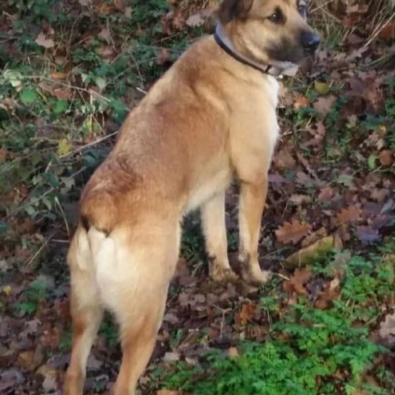 Photo de Marley