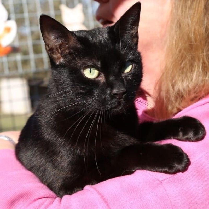 Photo de Blackie Boy