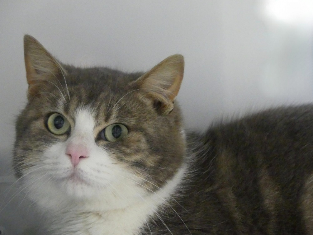 Photo de Light réservé