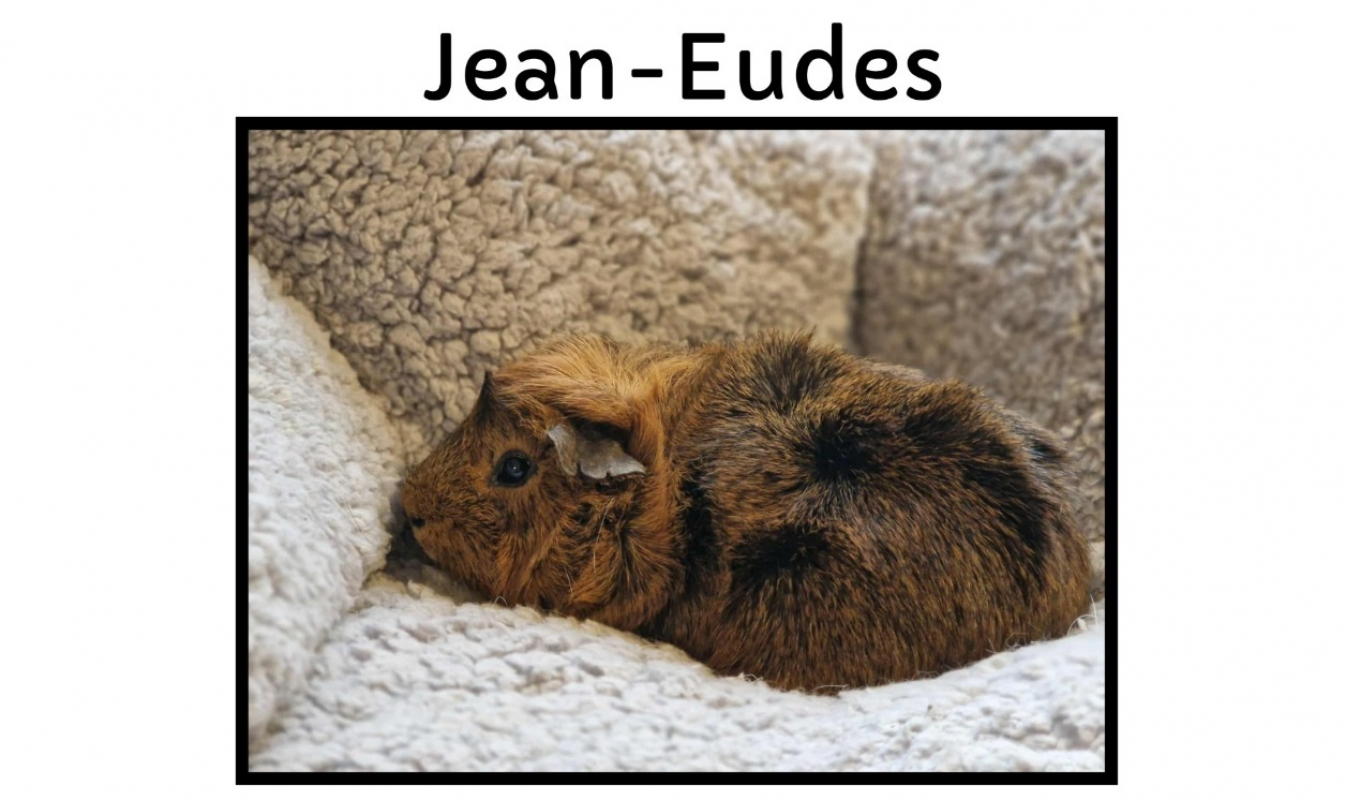 Photo de Jean-eudes