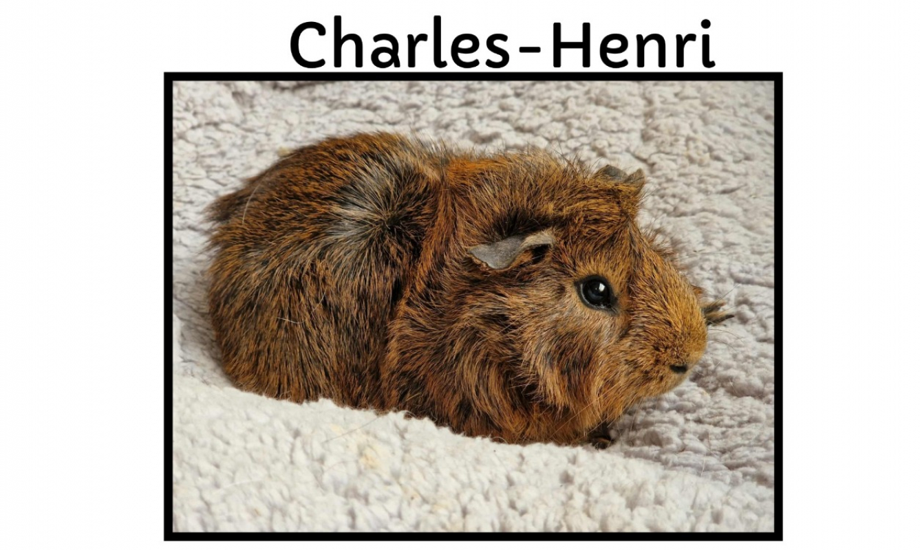 Photo de Charles-henri