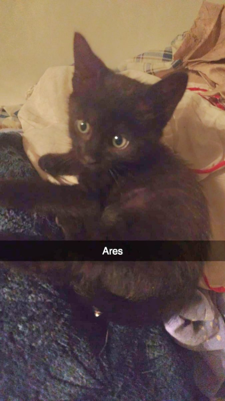 Photo #3 de Ares