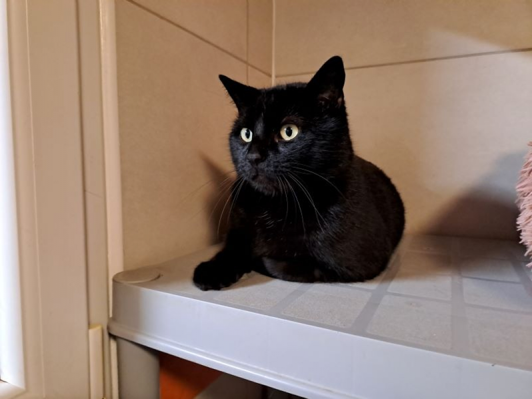 Photo de Reserve milo