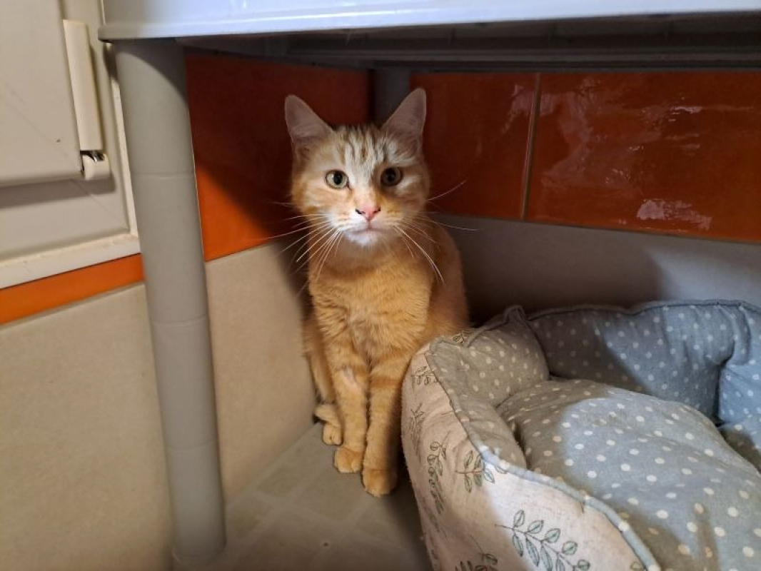 Photo #1 de Tia reservee